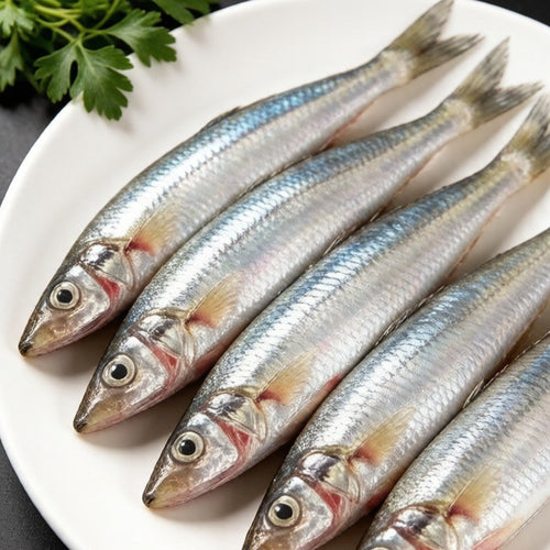 Large sardines arranged on crushed ice