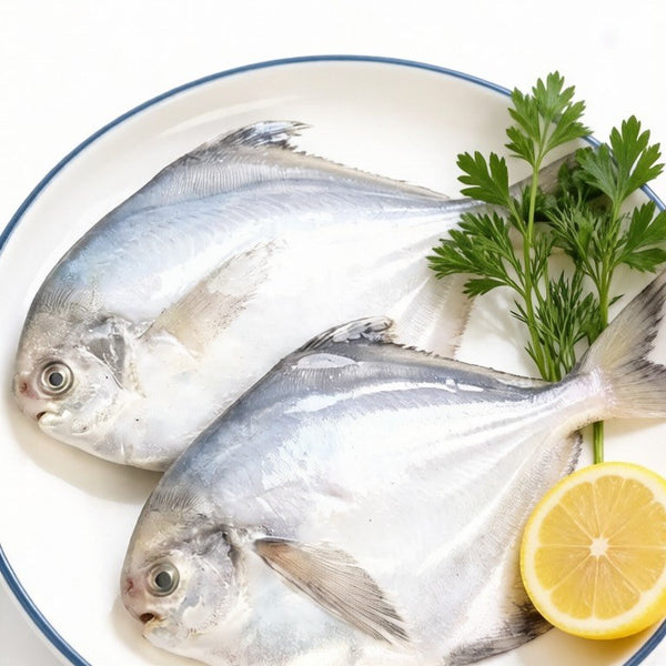 Wild Silver Pomfret Whole Fish